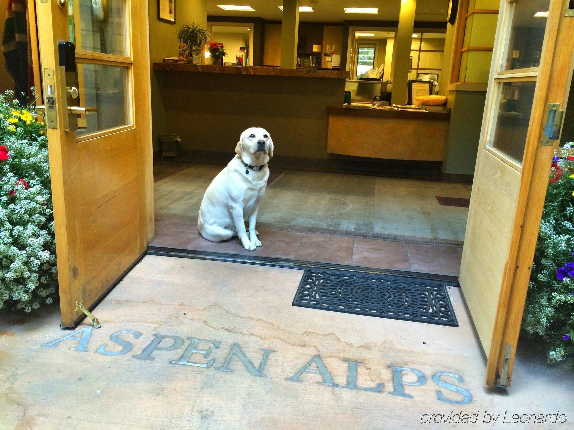 Aspen Alps Hotel Ngoại thất bức ảnh